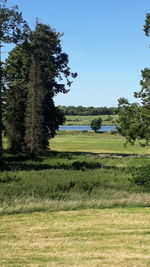 Scenic view of field against clear sky