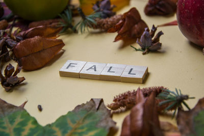 High angle view of leaves on table