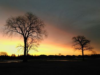 Silhouette bare trees on field against sky during sunset