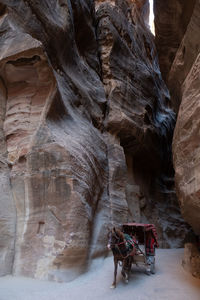 Rear view of man riding horse in cave