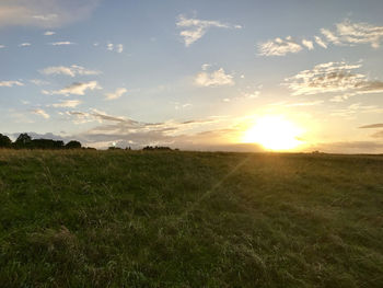 Scenic view of wheat field against sky at sunset