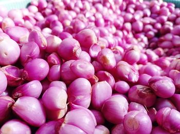 Full frame shot of onion for sale in market