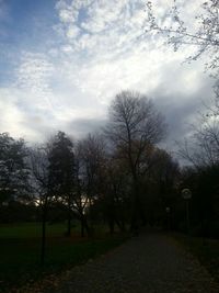 Bare trees on landscape