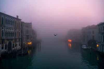 Birds flying over canal in city