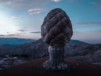 Close-up of rock on land against sky