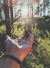 Midsection of person against trees in forest