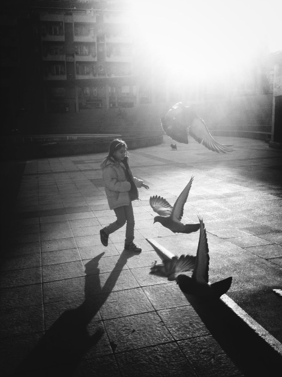 full length, lifestyles, sunlight, leisure activity, shadow, sunbeam, railing, walking, casual clothing, standing, sun, day, men, sitting, side view, rear view, outdoors, sunny