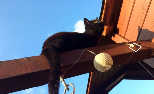 Low angle view of building