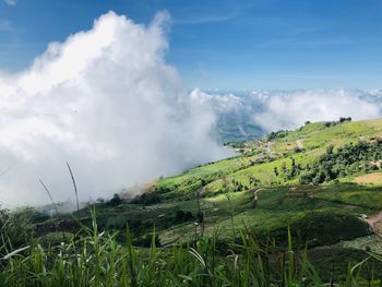 Scenic view of landscape against sky