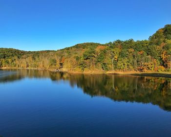 Scenic view of lake in forest against clear blue sky