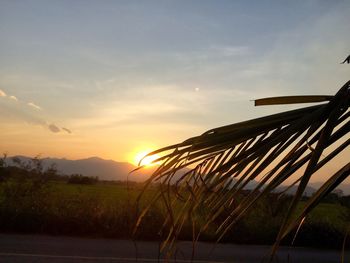 Scenic view of sky during sunset