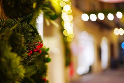 Close-up of christmas decoration hanging on tree