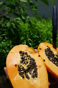 Close-up of pumpkin