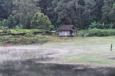 House by trees in forest