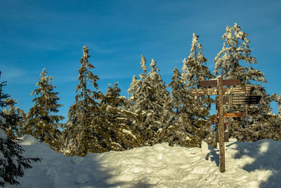 Low angle view of snow covered land against sky, harz mountain