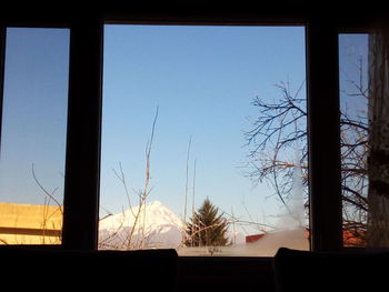 Trees against clear sky seen through window