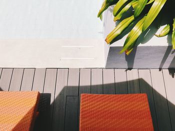High angle view of potted plants on table