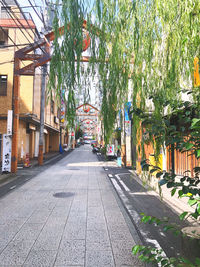 Empty footpath amidst trees and buildings in city