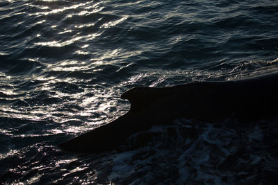 Close-up of rippled water