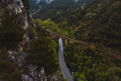 High angle view of bridge in forest