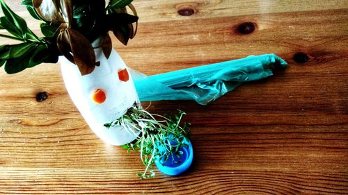 Close-up of potted plant on table