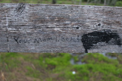 Close-up of wooden door