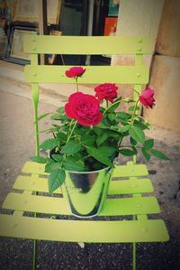 Close-up of potted plant