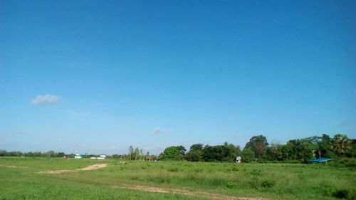 Scenic view of field against clear blue sky