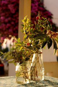 Close-up of plants in glass vases on table