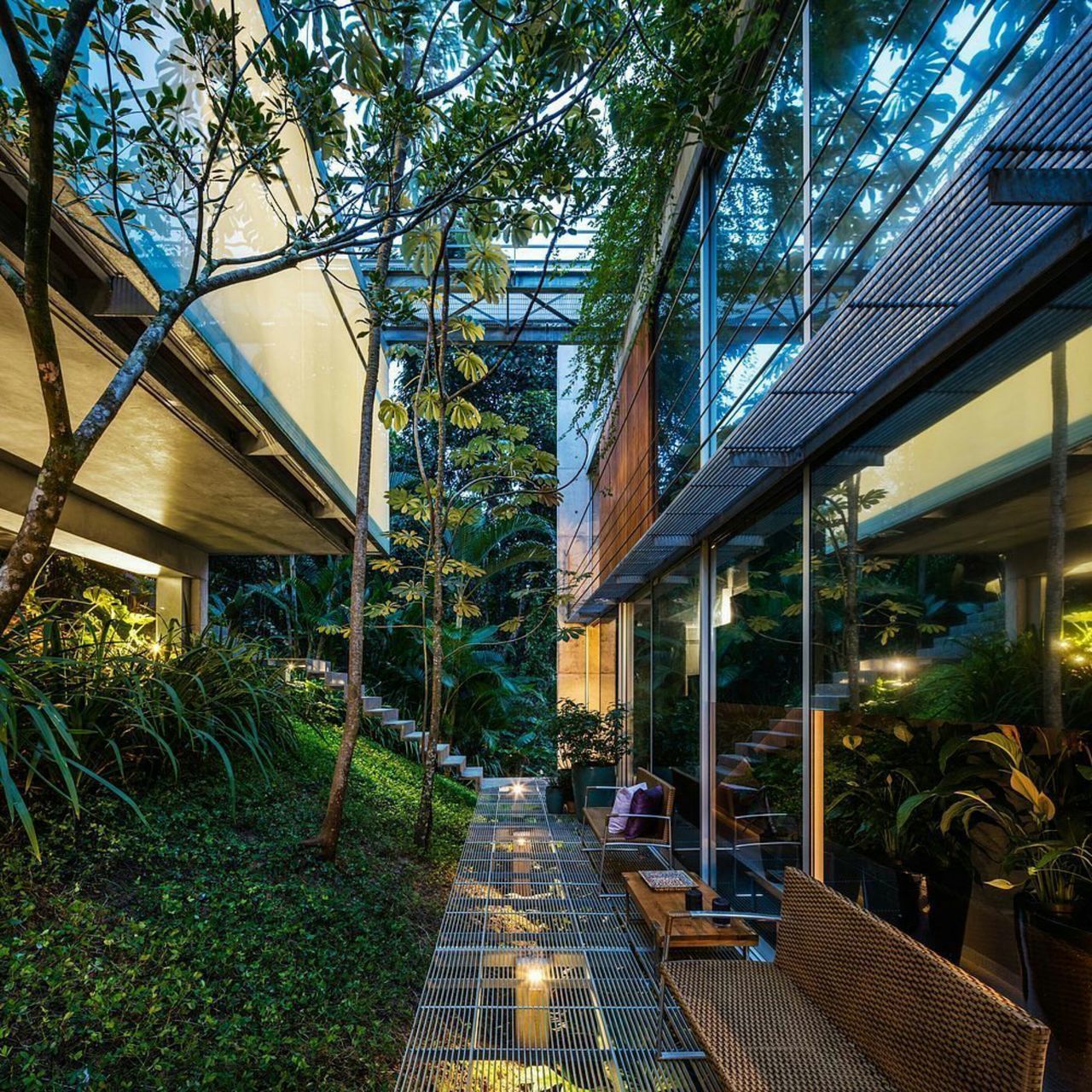 FOOTPATH AMIDST PLANTS OUTSIDE BUILDING