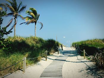 View of pathway leading towards miami beach against clear sky