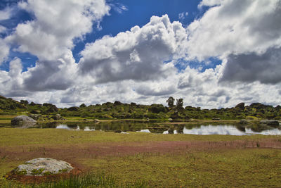 Scenic view of field against sky