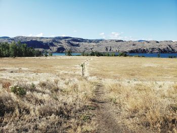 Scenic view of field against sky