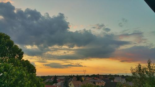 Silhouette of trees at sunset