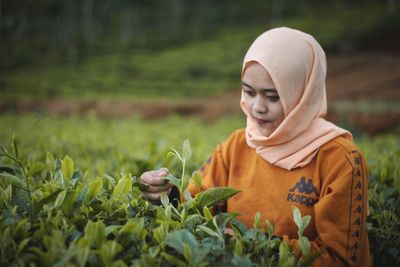 Woman wearing hijab picking leaves while standing in farm