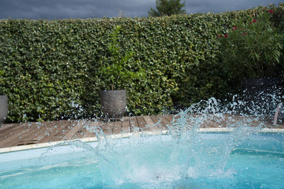 Plants by swimming pool against lake