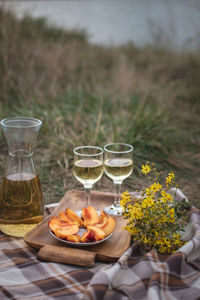 Cold drinks and fruit on a summer picnic