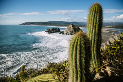 Scenic view of sea against sky