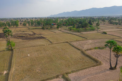 High angle view of agricultural field against sky