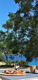 High angle view of breakfast on table against trees