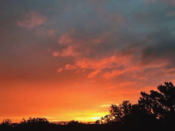 Low angle view of silhouette trees against dramatic sky