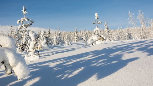 Snow covered field against sky