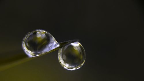 Close-up of glasses against black background