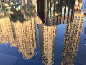 Reflection of building in puddle