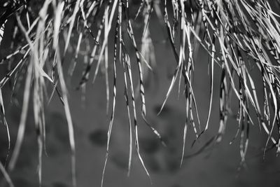 Close-up of water against sky