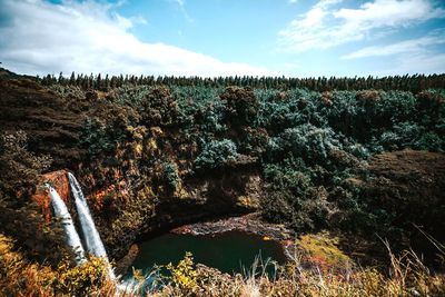 Scenic view of forest against sky