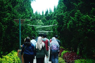 Rear view of people walking in forest