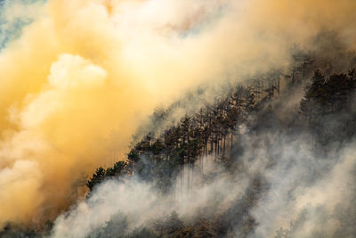 Wildfire lago di garda, italy
wildfire caused by lightning strike