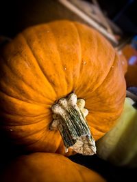 Close-up of pumpkin