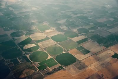 High angle view of agricultural field